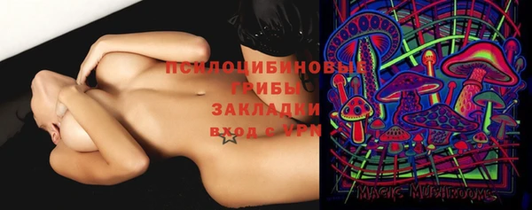 не бодяженный Ельня