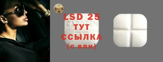 mdma Елизово