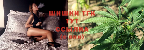 не бодяженный Ельня