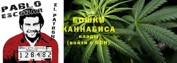 не бодяженный Ельня