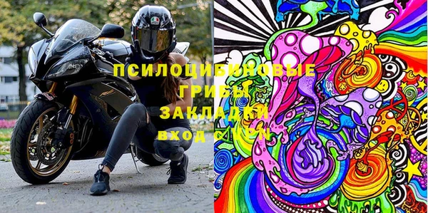 не бодяженный Ельня