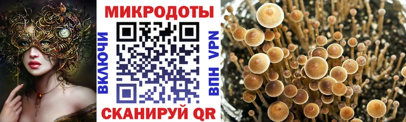 omg вход  сколько стоит  darknet Telegram  Псилоцибиновые грибы MAGIC MUSHROOMS  Динская 